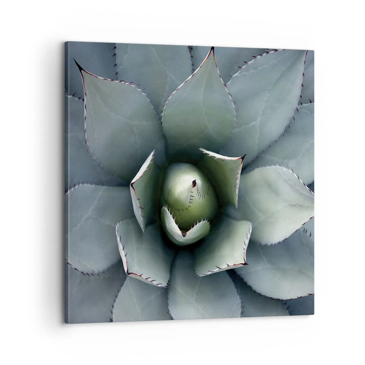 Impression sur toile - Image sur toile - Wabi et observe - 60x60 cm