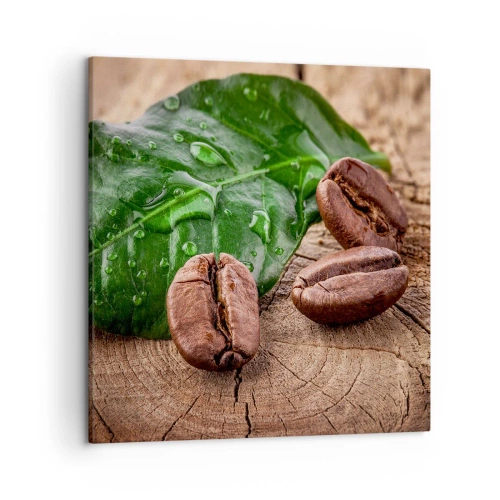 Impression sur toile - Image sur toile - La plus vraie et noire - 50x50 cm