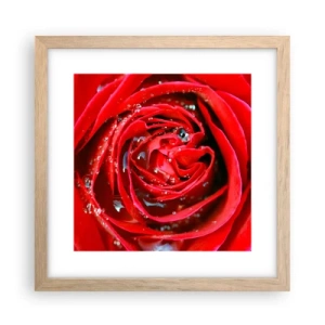 Affiche dans un chêne clair - Poster - Dans les gouttes de rosée - 30x30 cm