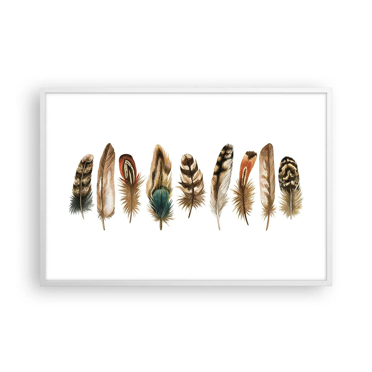 Affiche dans un cadre blanc - Poster - Variation à plumes - 91x61 cm