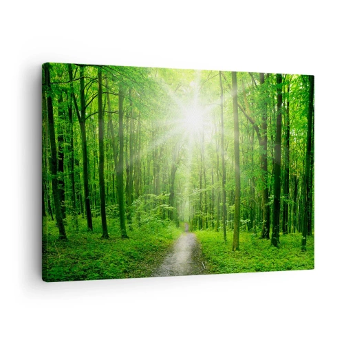Impression sur toile - Image sur toile - Chemin dans la forêt avec les rayons du soleil - 70x50cm - Cathédrale verte - Décoration murale moderne pour le salon et la chambre ARTTOR