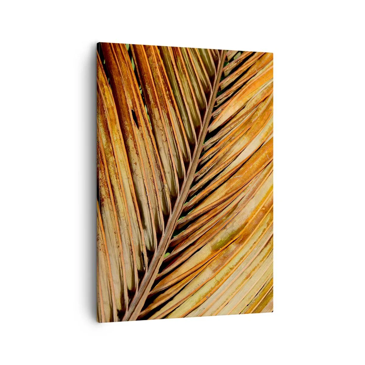Impression sur toile - Image sur toile - Gros plan d'une feuille de palmier sèche aux tons chauds - 50x70cm - Or de noix de coco - Décoration murale moderne pour le salon et la chambre ARTTOR