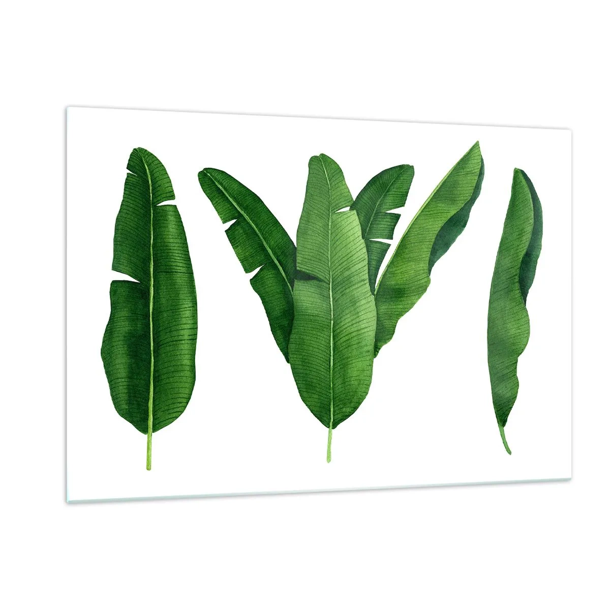 Impression sur verre - Image sur verre - Quatre feuilles de bananier vertes sur fond blanc - 120x80cm - Symétrie verte - Décoration murale moderne pour le salon et la chambre ARTTOR