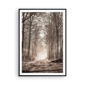 Affiche dans un cadre noir - Poster - Cathédrale de la forêt - 70x100 cm