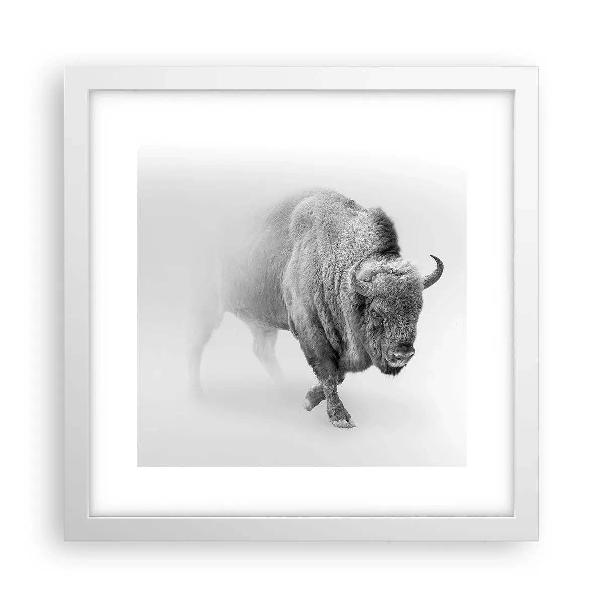 Affiche dans un cadre blanc - Poster - Roi de la prairie - 30x30 cm