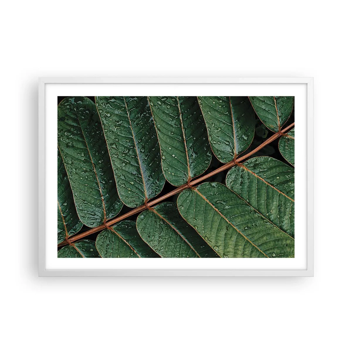 Affiche dans un cadre blanc - Poster - Au rythme de la verdure - 70x50 cm