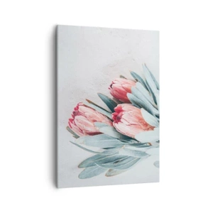 Impression sur toile - Image sur toile - Fleurs de protéa roses subtiles sur fond clair - 50x70cm - Honte de leur propre beauté - Décoration murale moderne pour le salon et la chambre ARTTOR