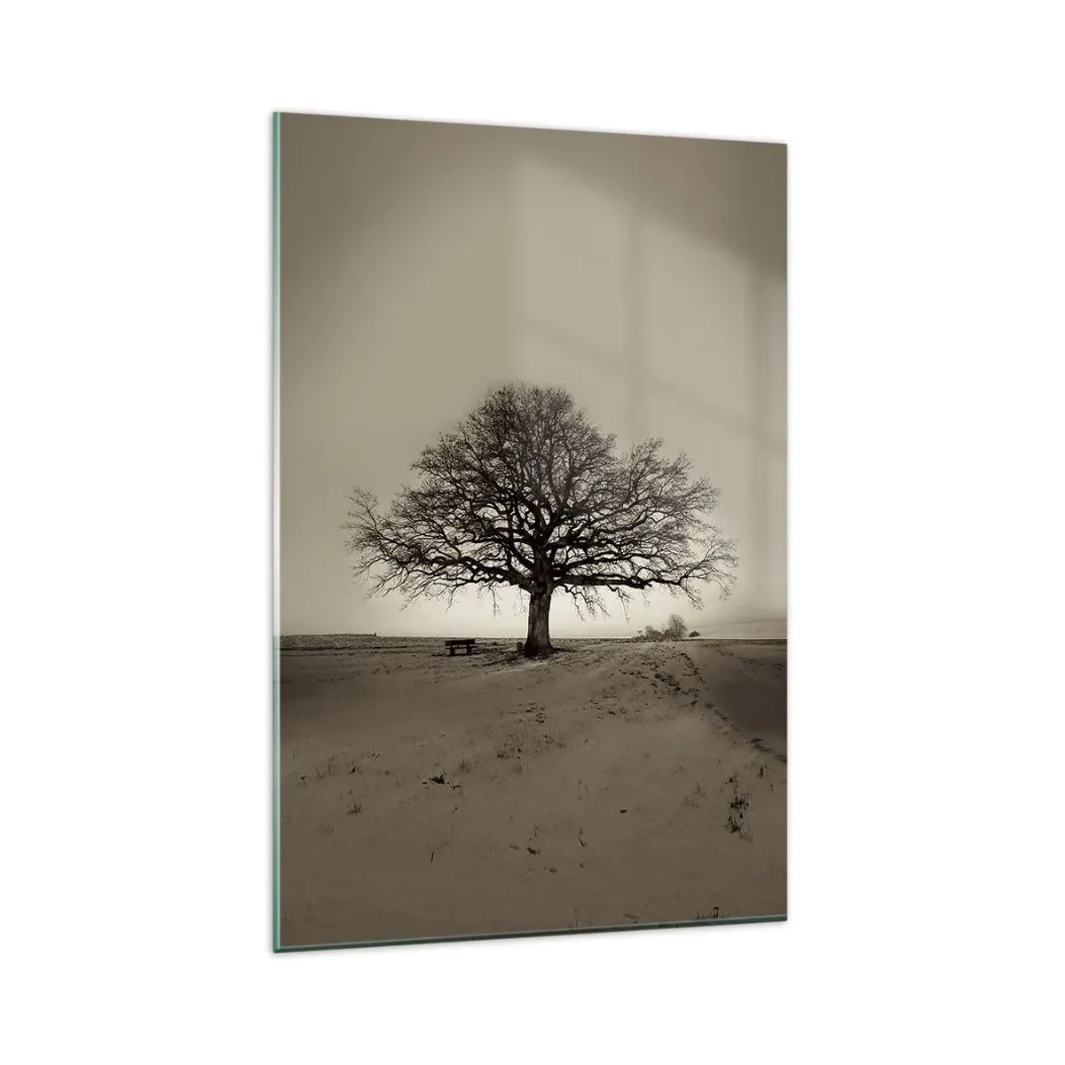 Impression sur verre - Image sur verre - Un arbre solitaire dans un champ de sépia - 80x120cm - D'ici à l'éternité - Décoration murale moderne pour le salon et la chambre ARTTOR