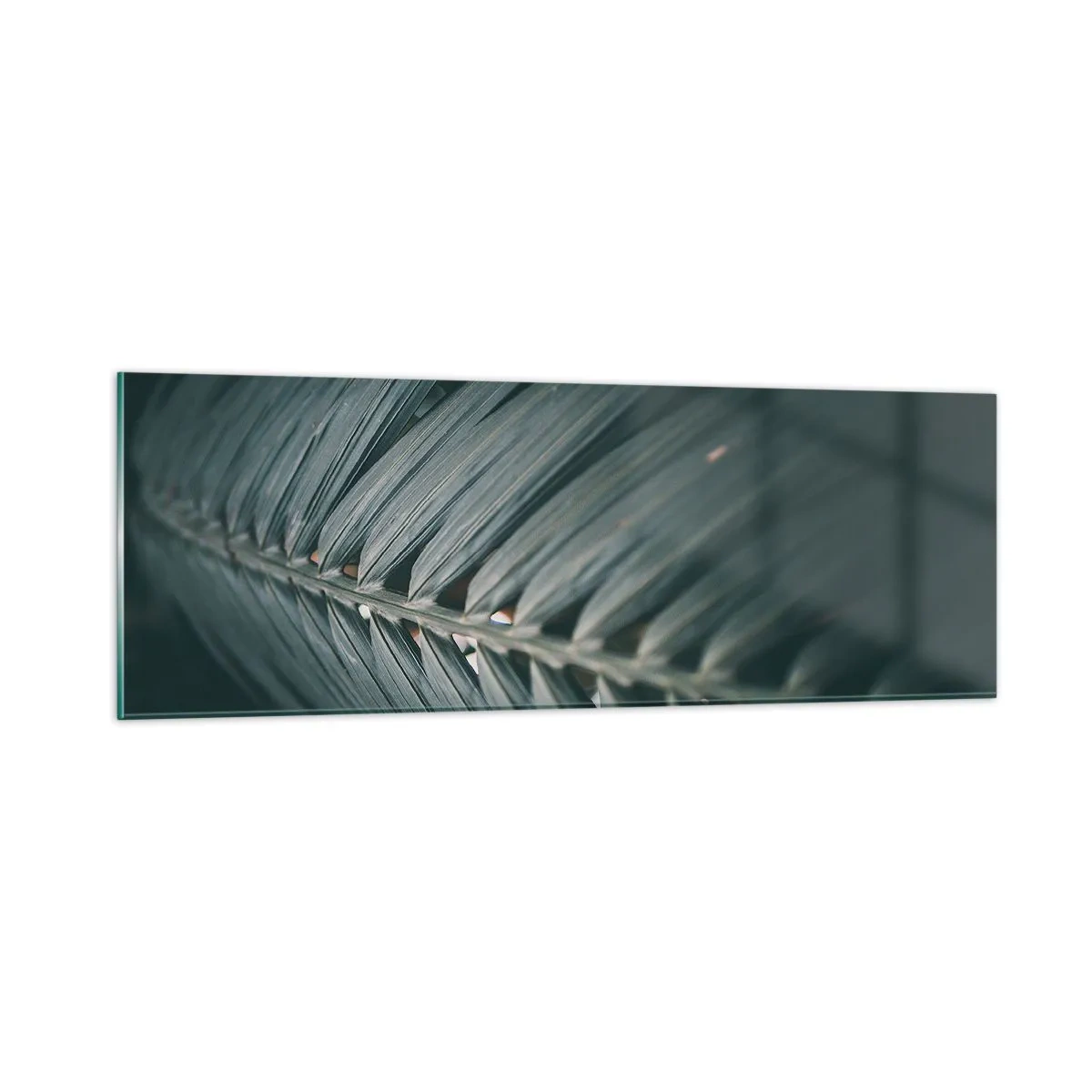 Impression sur verre - Image sur verre - Précision de la nature - 90x30 cm