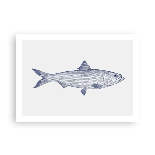 Affiche - Poster - Salutations des mers du nord - 70x50 cm