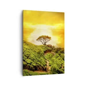 Impression sur toile - Image sur toile - Collines verdoyantes de plantations de thé au coucher du soleil - 50x70cm - Un chemin sinueux, une pente verte - Décoration murale moderne pour le salon et la chambre ARTTOR
