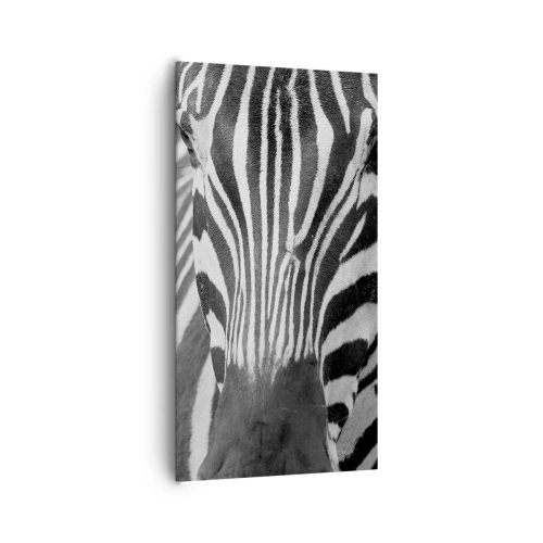 Impression sur toile - Image sur toile - Le monde est noir et blanc - 65x120 cm