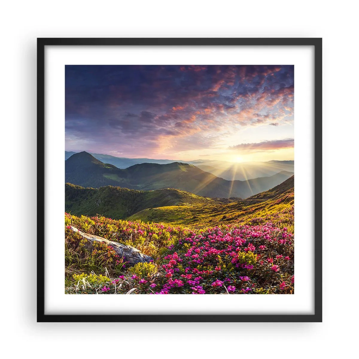 Affiche dans un cadre noir - Poster - Fraîcheur matinale en montagne - 50x50 cm
