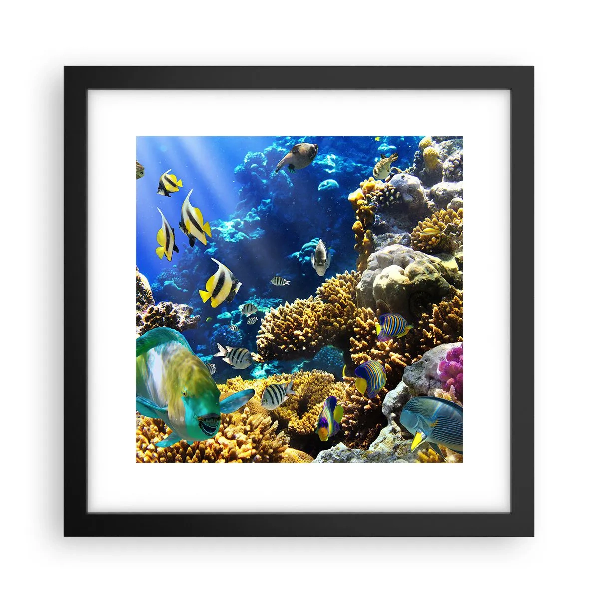 Affiche dans un cadre noir - Poster - Beaucoup de circulation sur la route des vacances - 30x30 cm