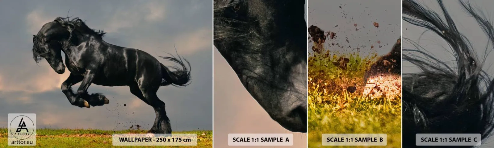 Échantillon De Papier Peint Standard Eco - Beau et libre - Animaux, Cheval, Paysage - 100x30 cm