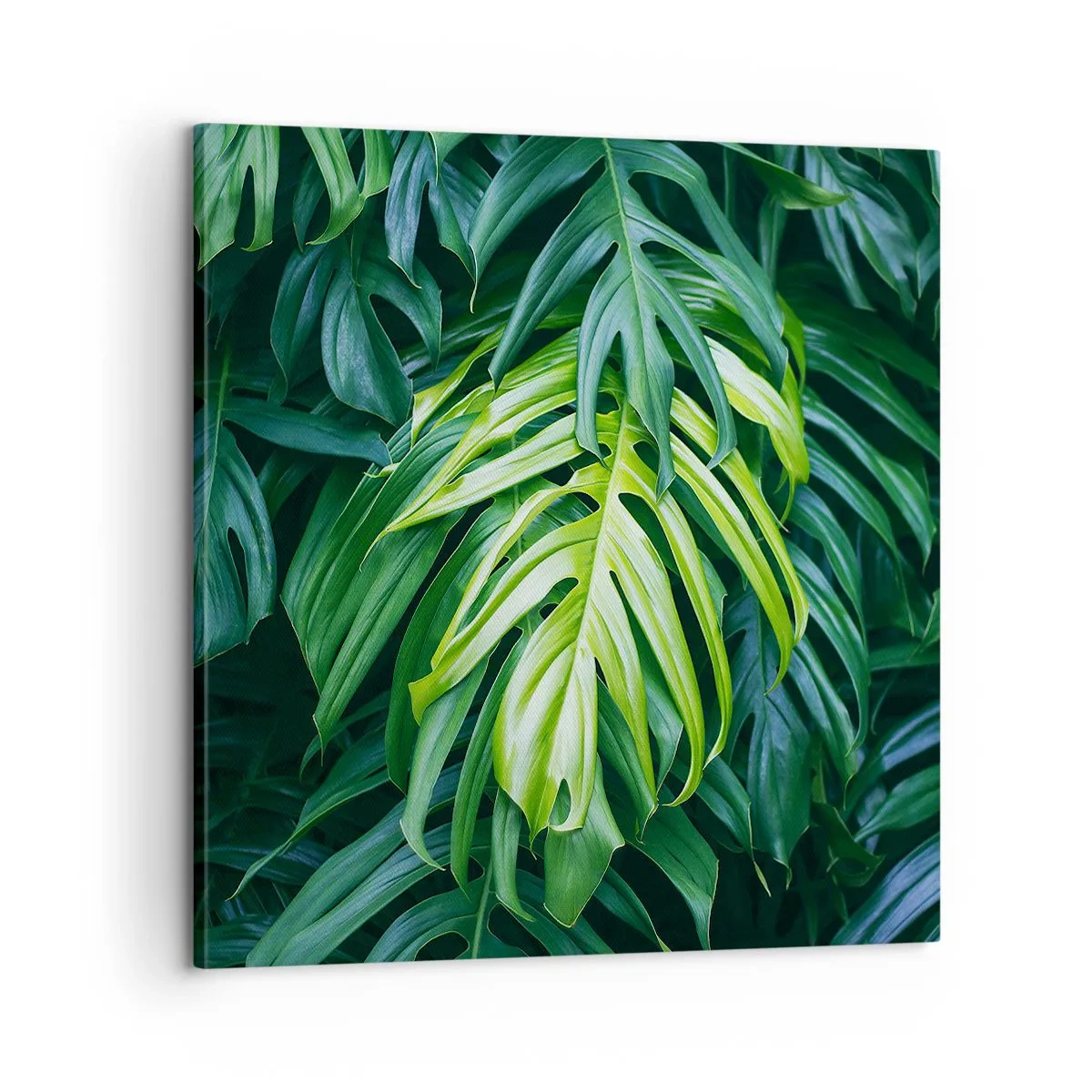 Impression sur toile - Image sur toile - Immergez-vous dans la fraîcheur - 60x60 cm
