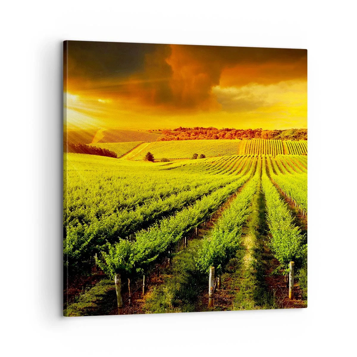 Impression sur toile - Image sur toile - Sous le soleil australien - 60x60 cm
