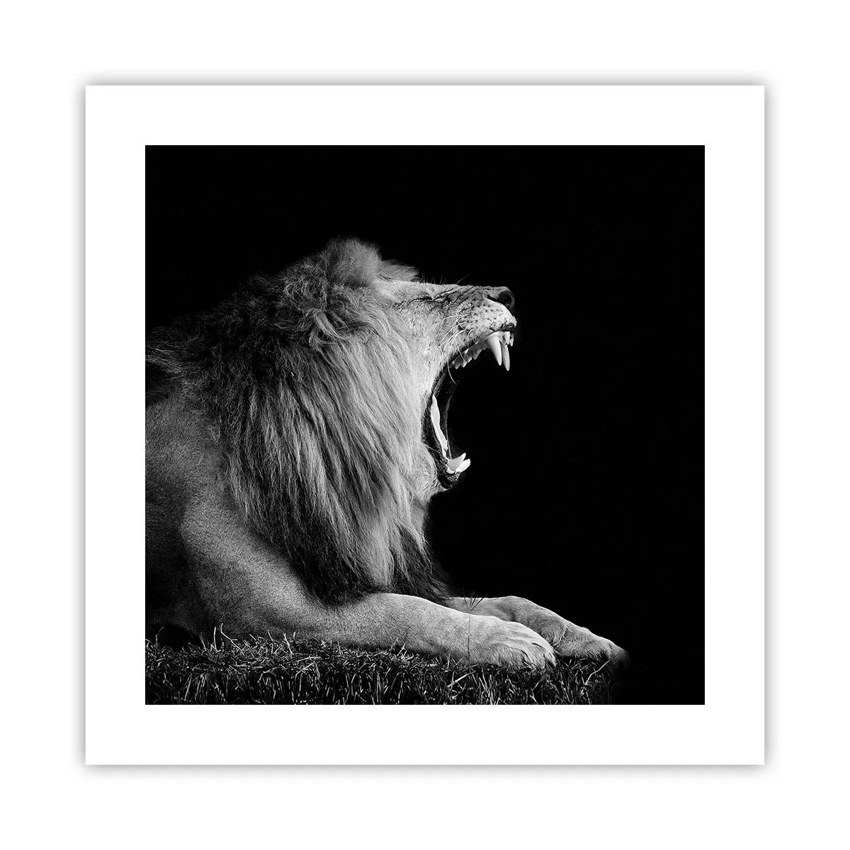 Affiche - Poster - Sans aucun doute - 40x40 cm