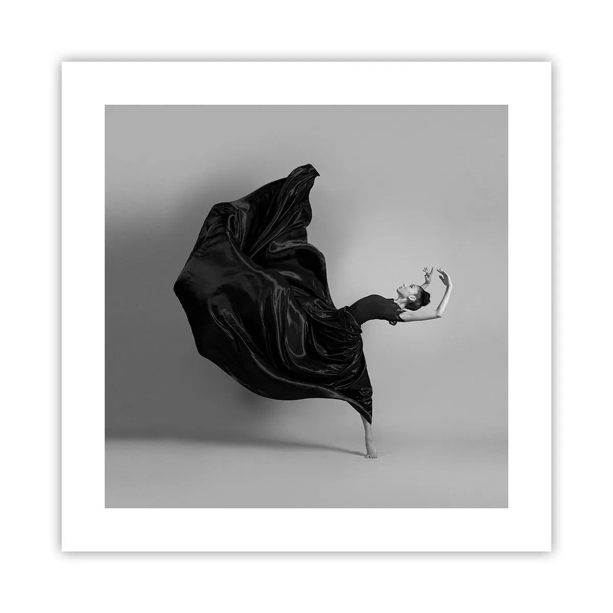 Affiche - Poster - Musique ailées - 40x40 cm