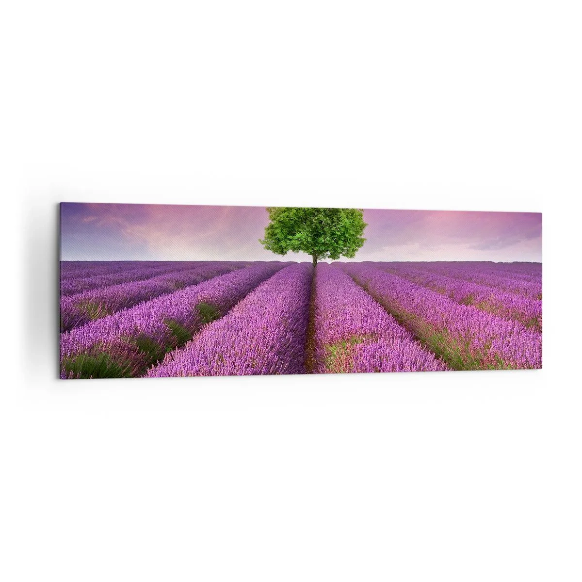 Impression sur toile - Image sur toile - Un champ de lavande avec un arbre solitaire et un ciel violet - 160x50cm - Dans un champs de lavande - Décoration murale moderne pour le salon et la chambre ARTTOR