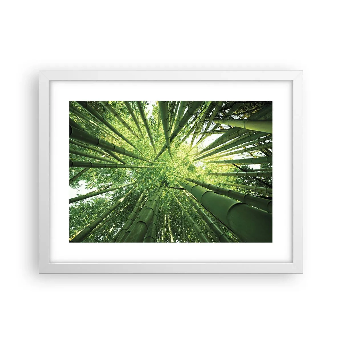 Affiche dans un cadre blanc - Poster - Dans une bambouseraie - 40x30 cm