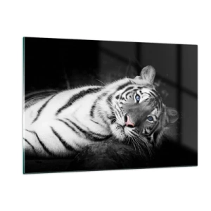 Impression sur verre - Image sur verre - Un tigre blanc aux yeux bleus dans un décor noir et blanc - 120x80cm - Sauvagerie et paix - Décoration murale moderne pour le salon et la chambre ARTTOR