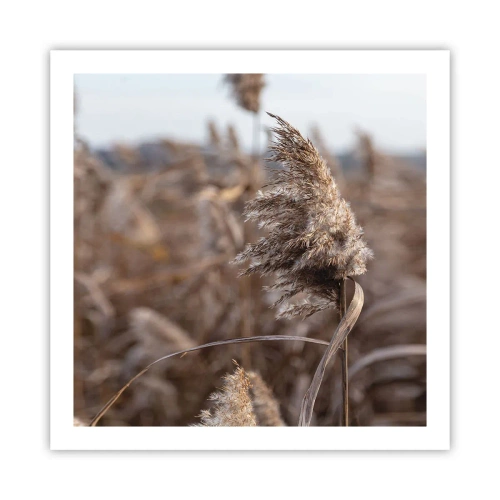 Affiche - Poster - Il est temps de s'envoler avec le vent - 60x60 cm