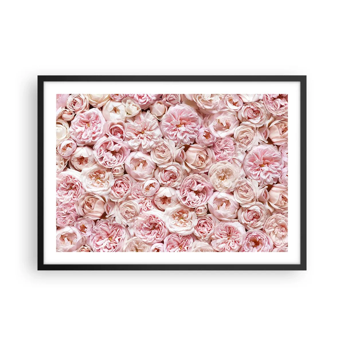 Affiche dans un cadre noir - Poster - Des roses délicates dans des tons de rose sur toute la surface - 70x50cm - Un lit de roses - Décoration murale moderne pour le salon et la chambre ARTTOR