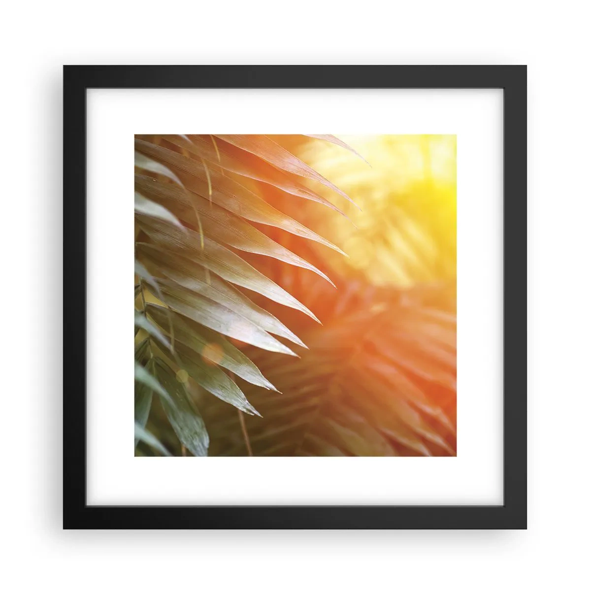 Affiche dans un cadre noir - Poster - Matinée dans la jungle - 30x30 cm