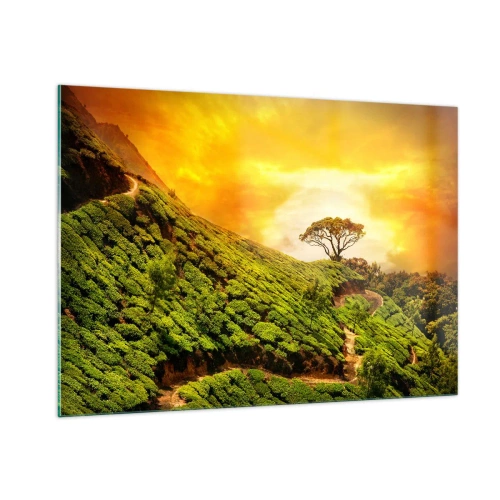Impression sur verre - Image sur verre - Collines verdoyantes avec un arbre solitaire au coucher du soleil - 100x70cm - Un chemin sinueux, une pente verte - Décoration murale moderne pour le salon et la chambre ARTTOR