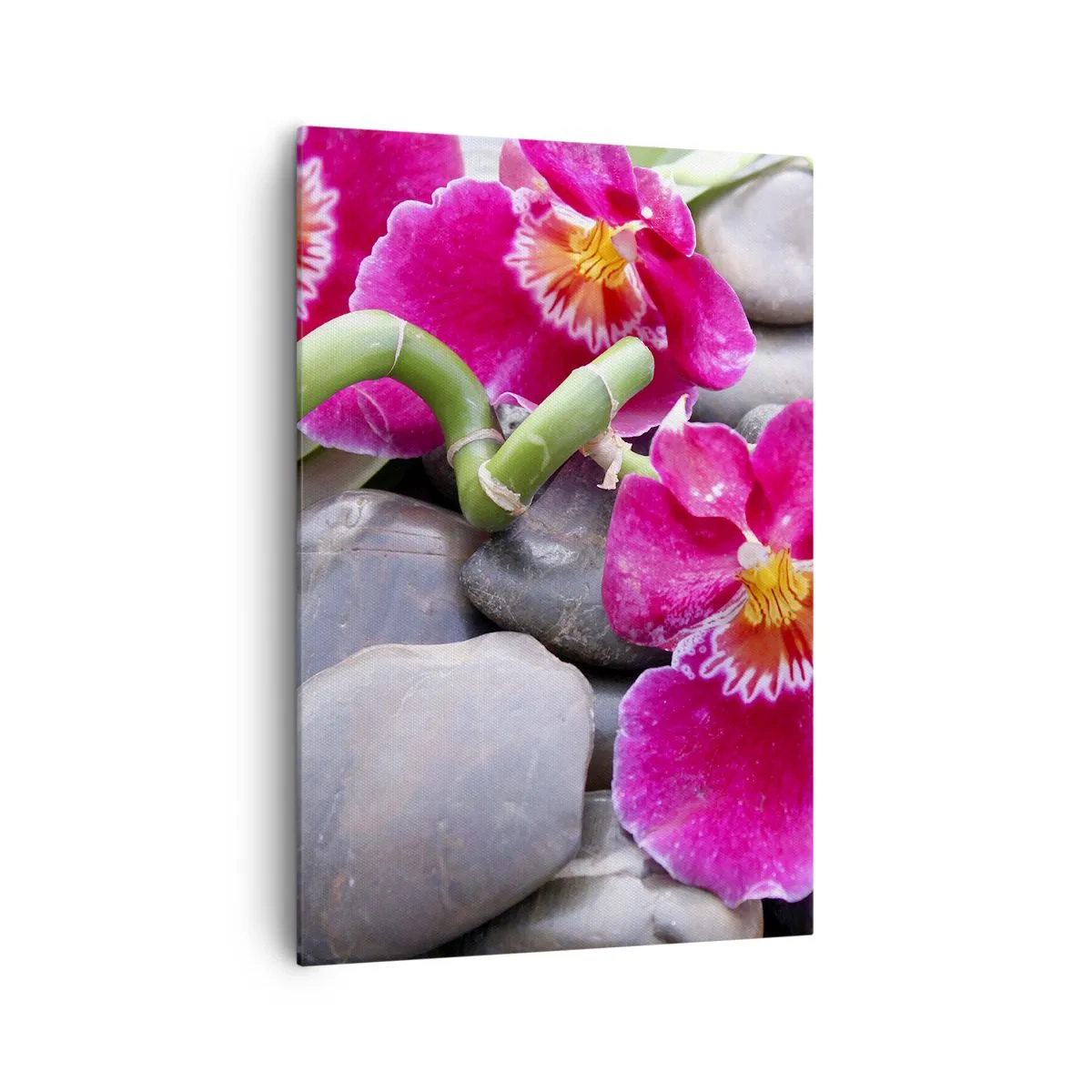 Impression sur toile - Image sur toile - Orchidées roses sur fond de pierres lisses - 70x100cm - Refroidir et chauffer - Décoration murale moderne pour le salon et la chambre ARTTOR