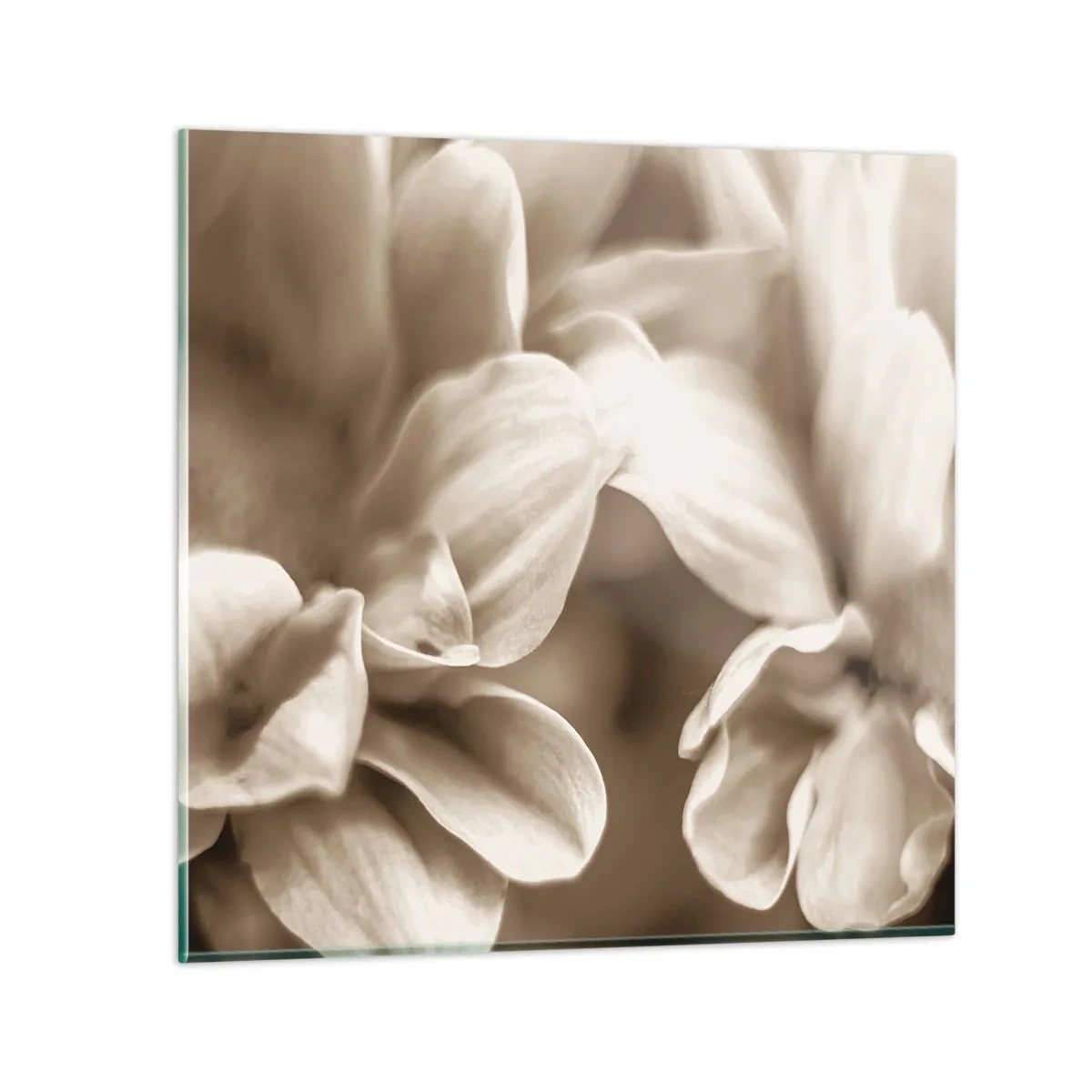 Impression sur verre - Image sur verre - Doux comme un sourire - 40x40 cm