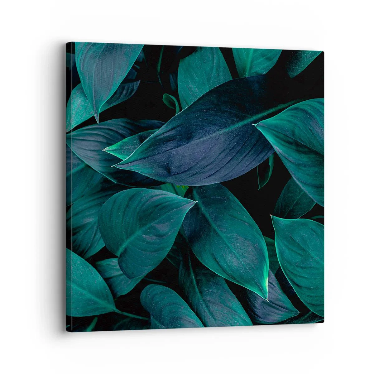 Impression sur toile - Image sur toile - le vert lui-même - 30x30 cm