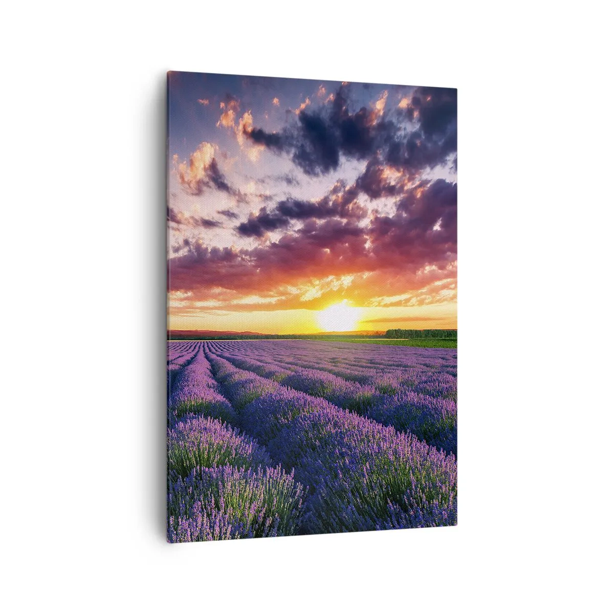 Impression sur toile - Image sur toile - Un champ de lavande au coucher du soleil avec un ciel coloré - 70x100cm - Monde de lavande - Décoration murale moderne pour le salon et la chambre ARTTOR