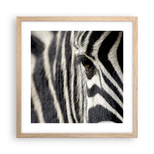 Affiche dans un chêne clair - Poster - Portrait en rayure - 40x40 cm