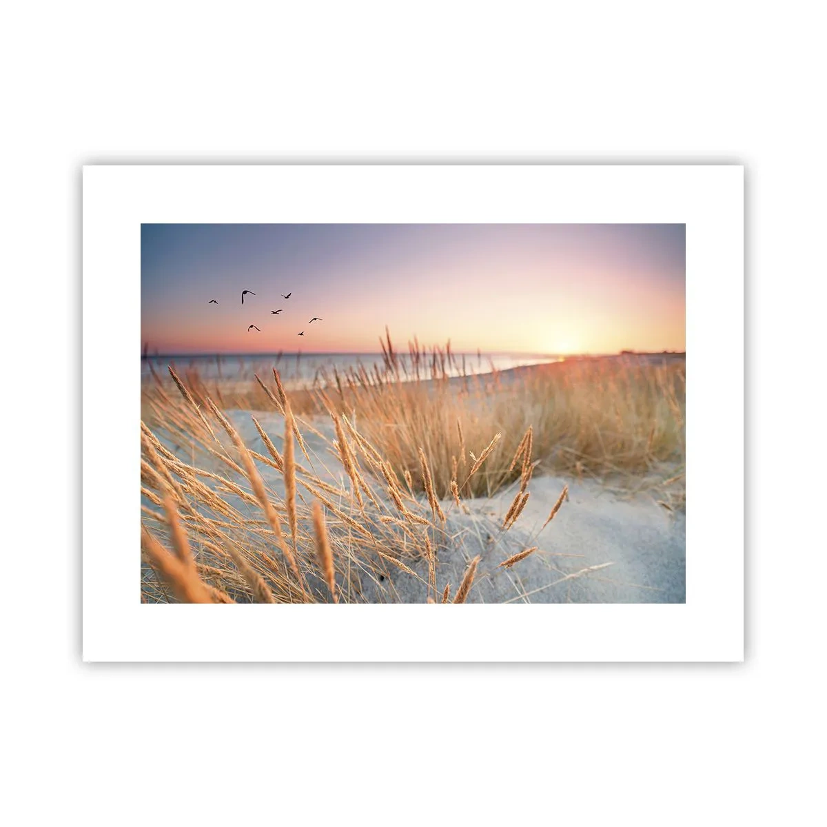 Affiche - Poster - Berceuse baltique - 40x30 cm