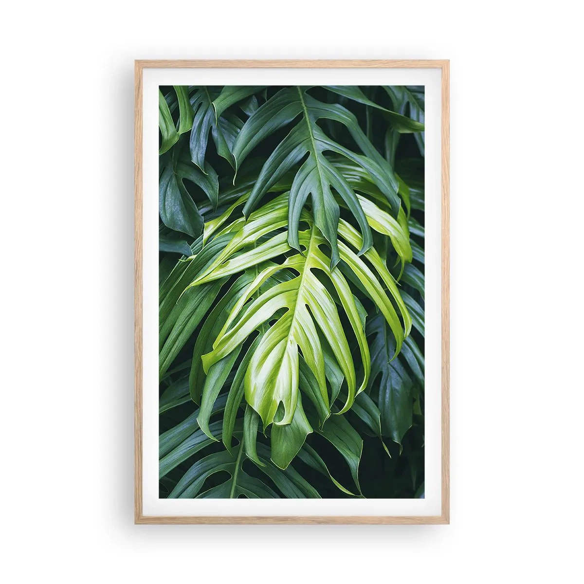 Affiche dans un chêne clair - Poster - Immergez-vous dans la fraîcheur - 61x91 cm