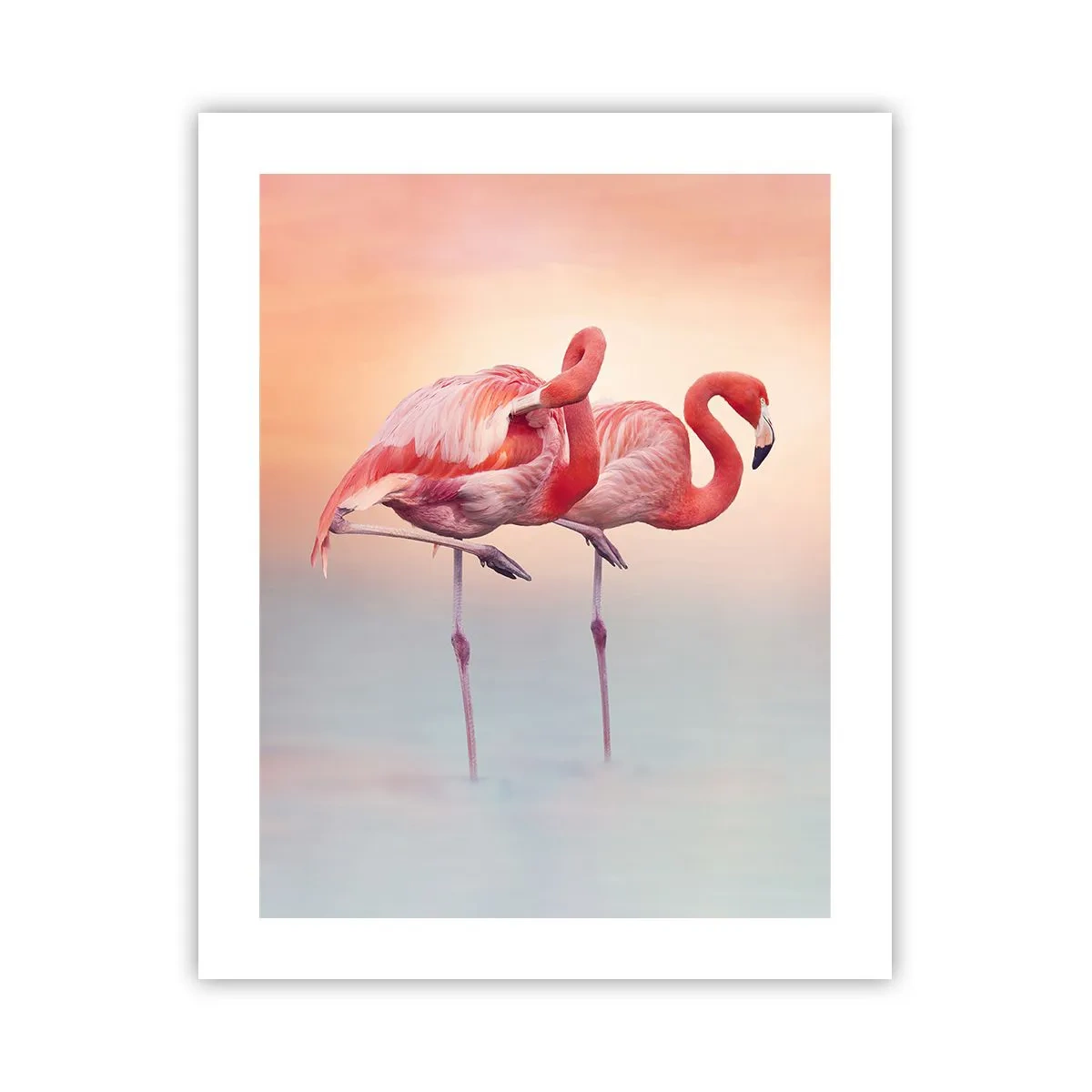 Affiche - Poster - Dans les couleurs du soleil couchant - 40x50 cm