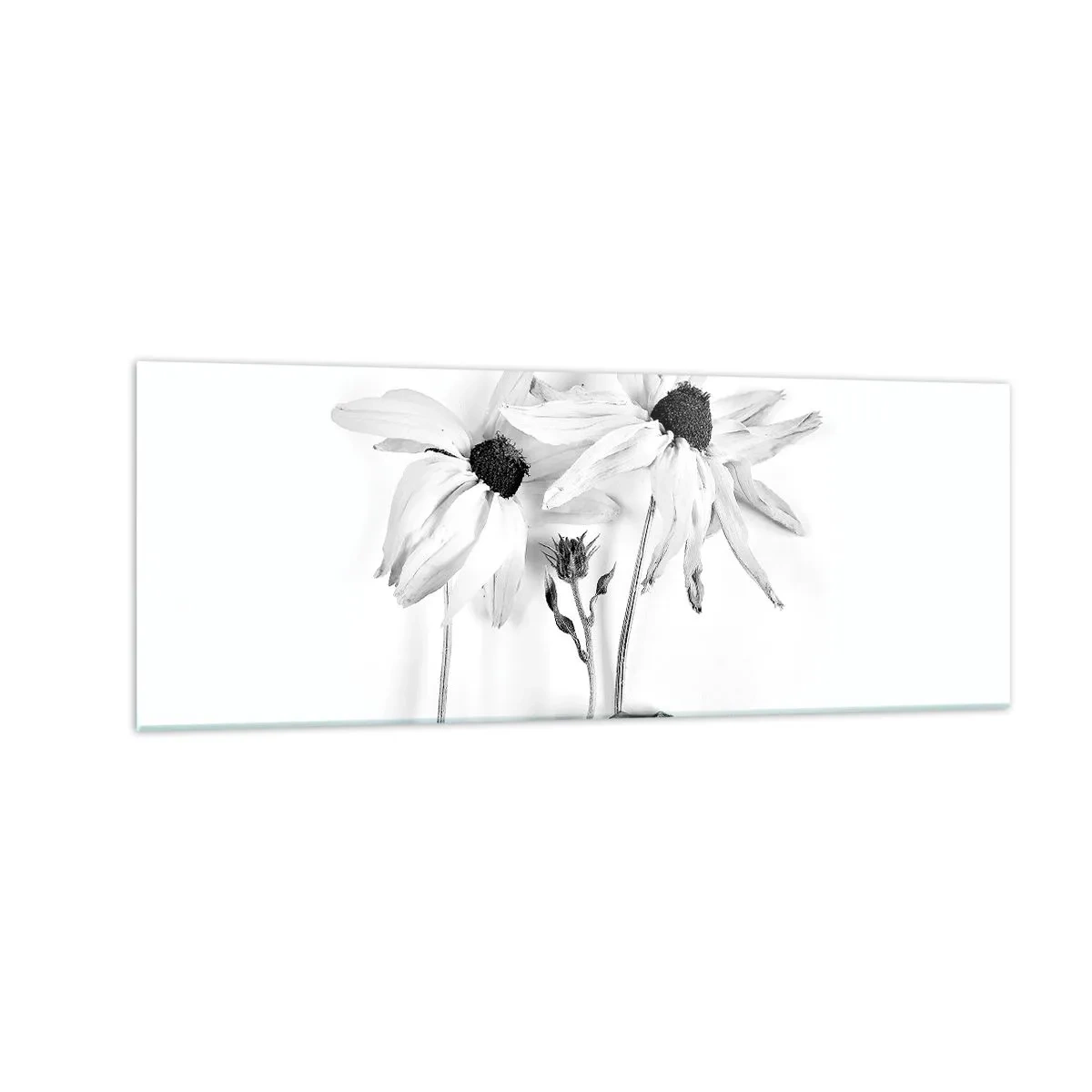 Impression sur verre - Image sur verre - Fleurs noires et blanches avec une composition subtile - 140x50cm - Personne ne souhaite être seul - Décoration murale moderne pour le salon et la chambre ARTTOR
