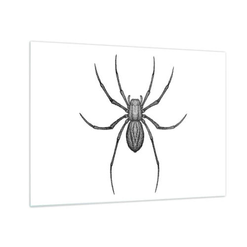 Impression sur verre - Image sur verre - Illustration de style rétro d'une araignée noire sur fond blanc - 70x50cm - Une précision troublante - Décoration murale moderne pour le salon et la chambre ARTTOR
