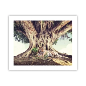 Affiche - Poster - Vue du Livre de la Genèse - 50x40 cm