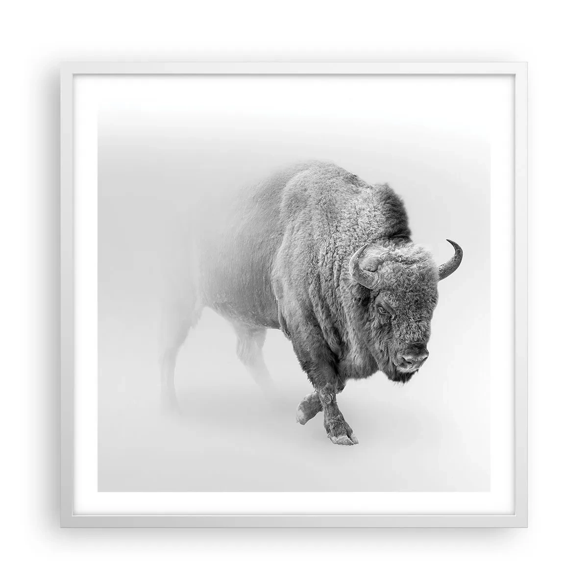 Affiche dans un cadre blanc - Poster - Roi de la prairie - 60x60 cm