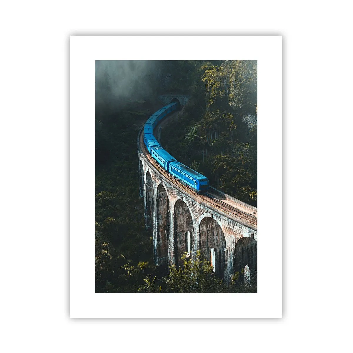 Affiche - Poster - Train nature - 30x40 cm