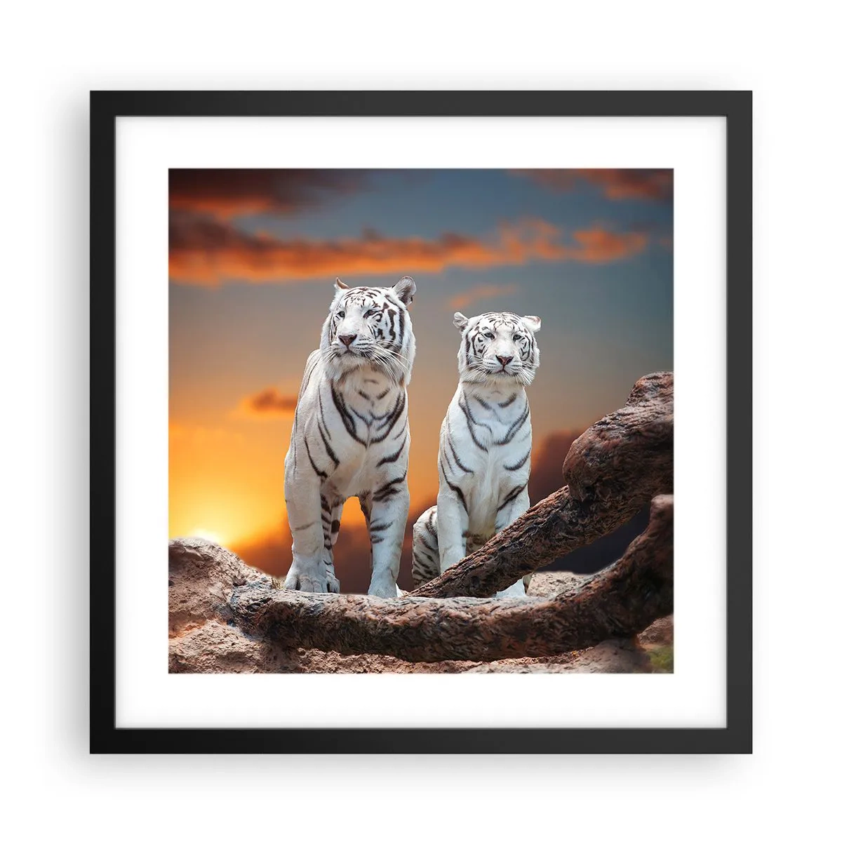 Affiche dans un cadre noir - Poster - Tout comme à Narnia - 40x40 cm