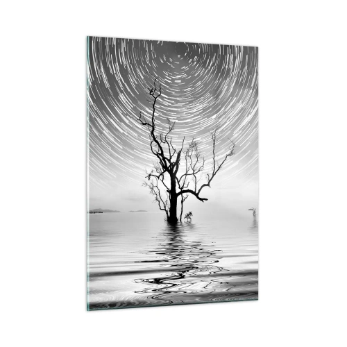 Impression sur verre - Image sur verre - Paysage noir et blanc avec un arbre et des traînées d'étoiles - 50x70cm - La symphonie de la nature - Décoration murale moderne pour le salon et la chambre ARTTOR