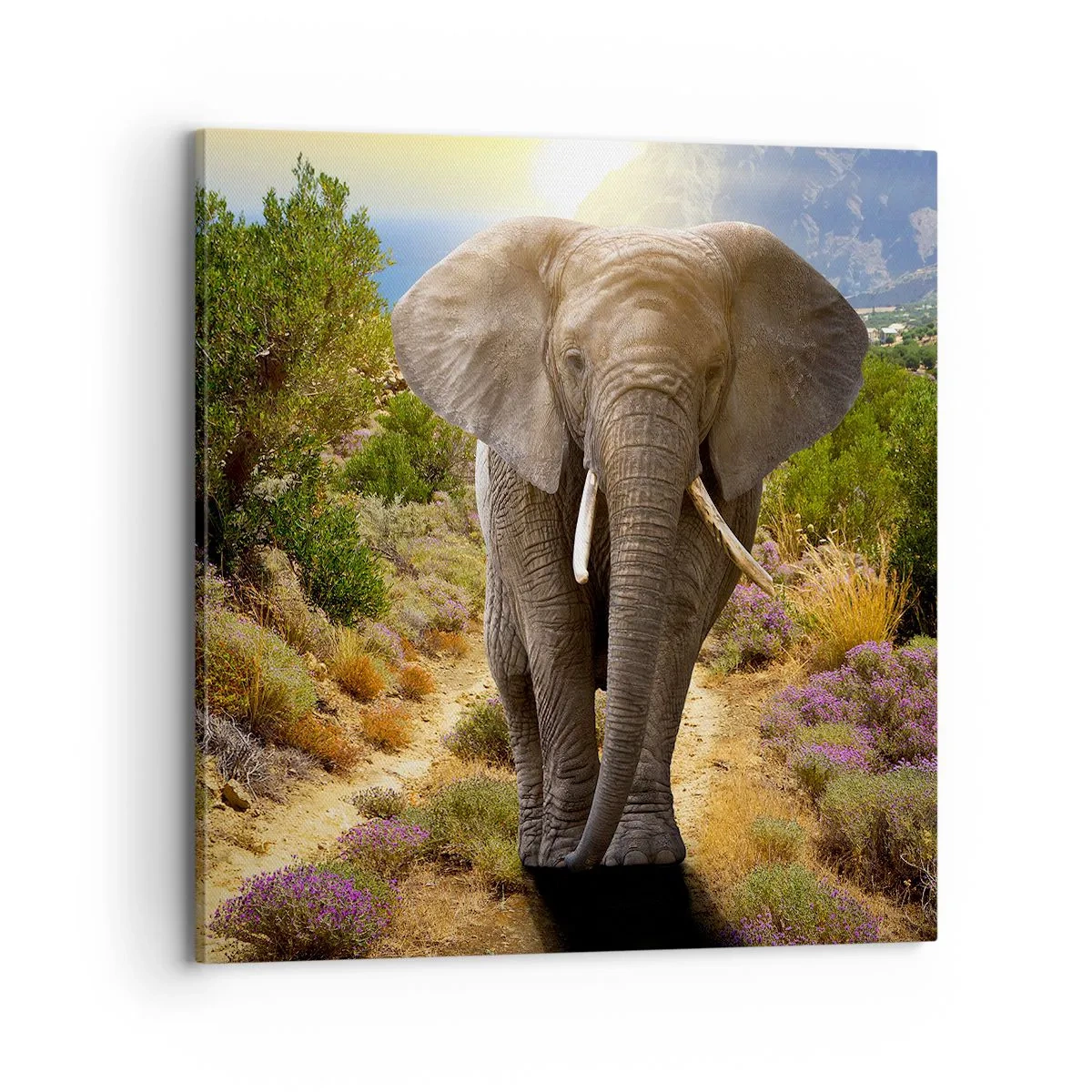 Impression sur toile - Image sur toile - Voilà à quoi ressemblait l'Eden - 70x70 cm