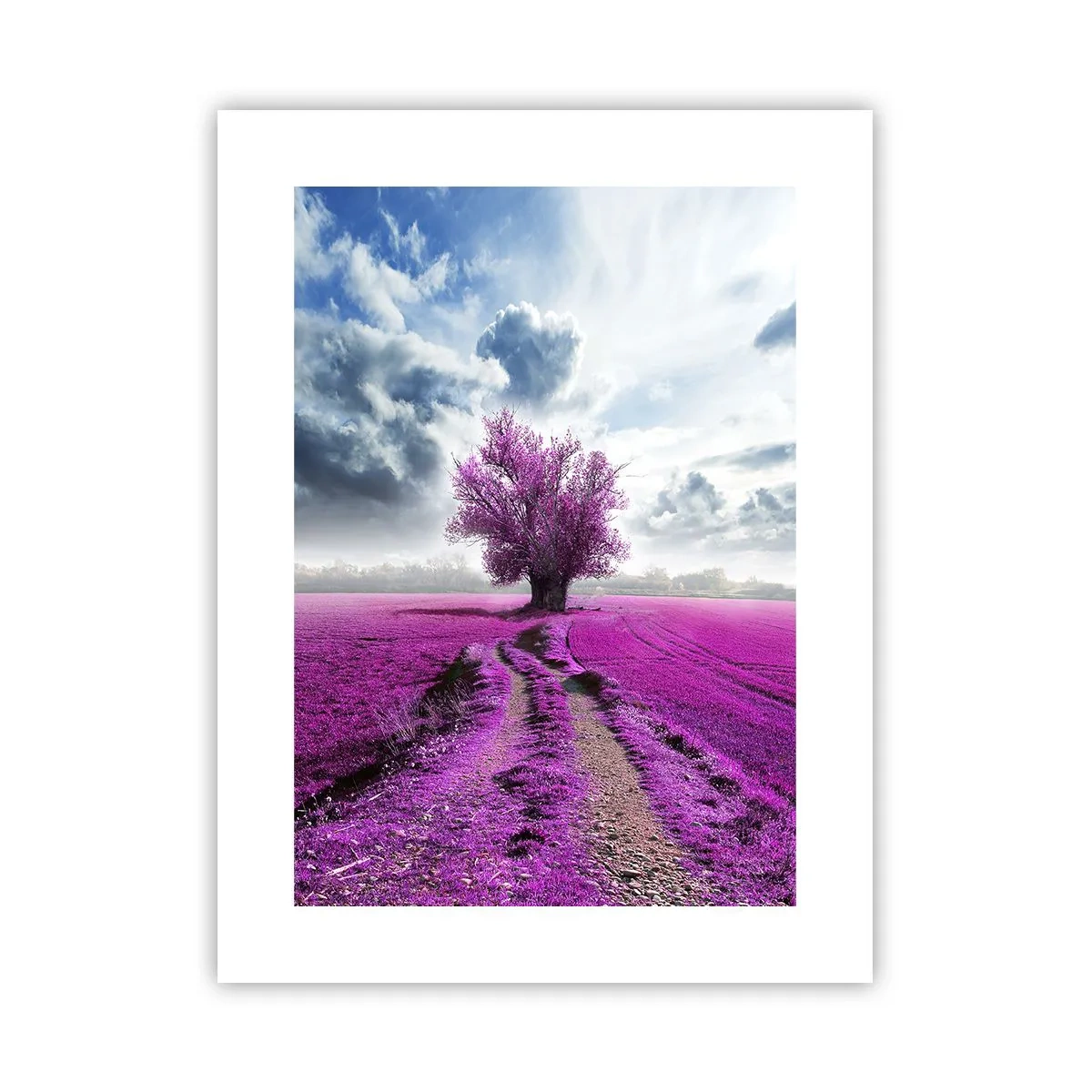 Affiche - Poster - Lande - nature sauvage - 30x40 cm