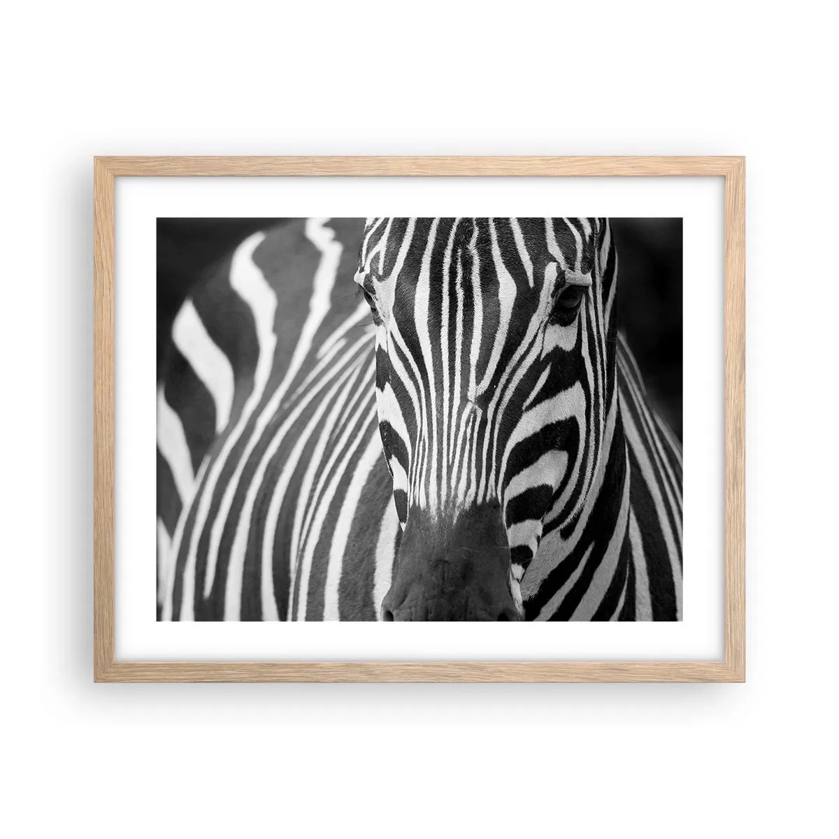 Affiche dans un chêne clair - Poster - Le monde est noir et blanc - 50x40 cm