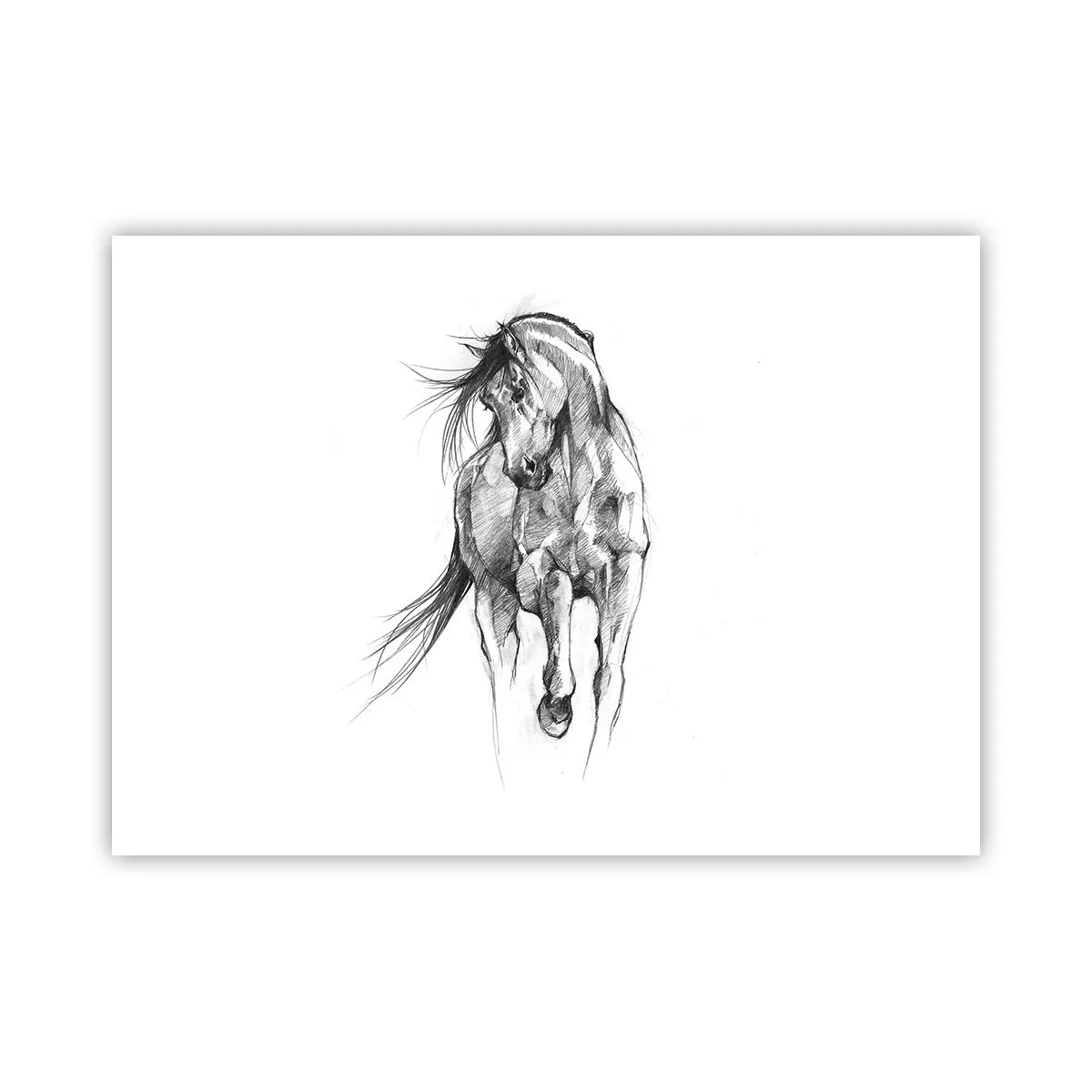 Affiche - Poster - D'un trot gracieux - 70x50 cm