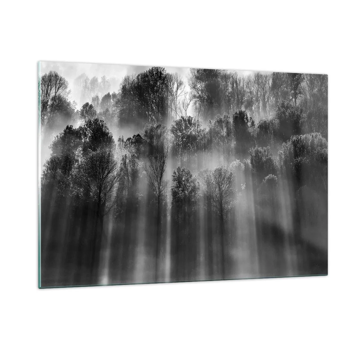 Impression sur verre - Image sur verre - Des rayons de lumière noirs et blancs pénètrent la forêt - 120x80cm - Dans les flots de lumière - Décoration murale moderne pour le salon et la chambre ARTTOR